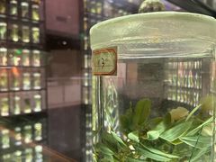 -广东中医药博物馆