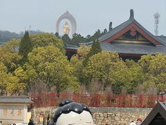 -庐山风景名胜区-东林大佛