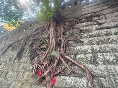 -重庆十八梯传统风貌区