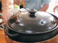 -15年老字号鑫鑫猪肚鸡·椰子鸡海南火锅(兴隆华侨农场店)