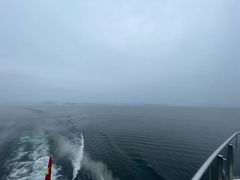 -千岛湖龙川湾