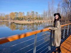 -东郊湿地公园