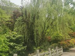 -杭州半山国家森林公园