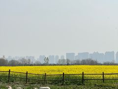 -汉长安城未央宫国家考古遗址公园