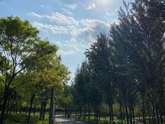 -东郊湿地公园