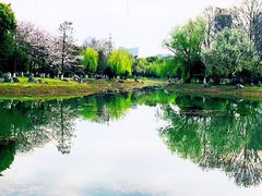 -堤角公园