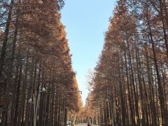 -巧克力渔家.小船海鲜胶东菜(三浴场店)