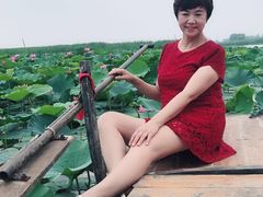 -白洋淀景区