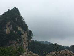 -王顺山国家森林公园