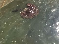 -泉城欧乐堡戏水湾艺术养生温泉