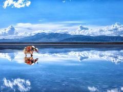 -盐湖景区