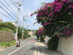 -灌篮高手动画打卡地