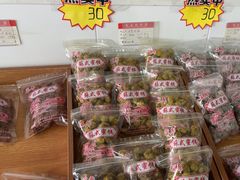 -苏州市吴中区光福窑上花果蜜饯厂