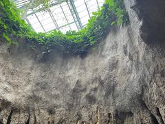 -南山植物园