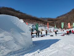 景点-天女山森林公园