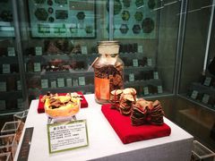 -北京中医药大学-中医药博物馆