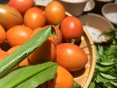 -一坐一忘云南菜(三里屯店)