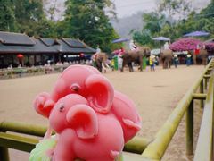 -野象谷景区