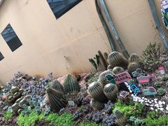 -正佳雨林生态植物园