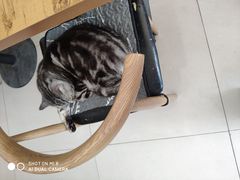 -平行世界·猫咖(首经贸店)
