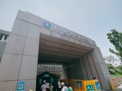 -武汉关码头(轮渡站)