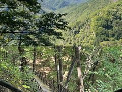 -五女峰国家森林公园