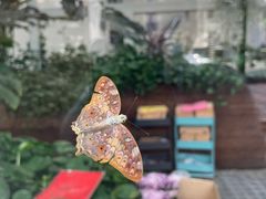 -上海自然博物馆