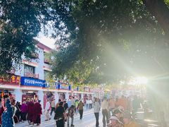 -古树酸奶(八廓南街店)