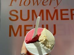 油柑茉莉-Dip in Gelato(富民路店)