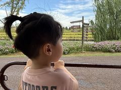 -乌村