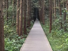 -同里国家湿地公园