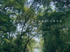 -西溪国家湿地公园