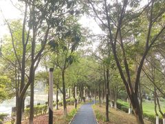 -四川大学(江安校区)