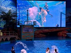 -海合安武汉极地海洋公园