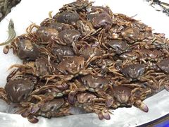 -肥肥牛鲜蚝海鲜自助(红山店)