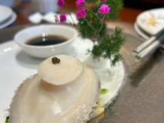 -丁老爷子苏香圆