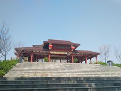 -大湾区中央湿地公园