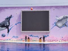 -秦皇岛乐岛海洋王国