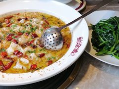 -新渝城·川菜·火锅(区庄店)