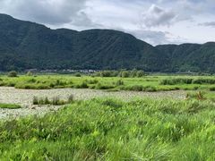 -腾冲北海湿地