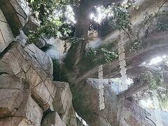 -横店影视城梦幻谷园区