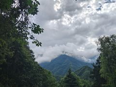 -陕西省红河谷森林公园