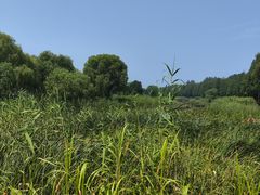 -苏州太湖湖滨国家湿地公园