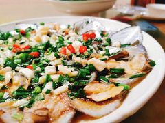 -全乐鱼馆·淳牌有机鱼直营店