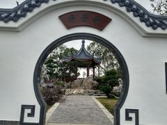 -东莞植物园