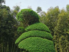 -苏州河梦清园环保主题公园