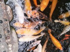 -上海大自然野生昆虫馆(东方明珠·爬宠昆虫探索中心)
