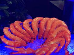 -长沙三景韦尔斯利酒店·Oval全日制餐厅自助餐