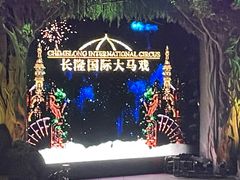 -广州长隆国际大马戏