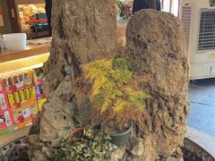 -都江堰石锅鱼